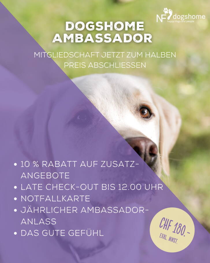 ambassador_1-727.jpg ambassador_1-727.jpg