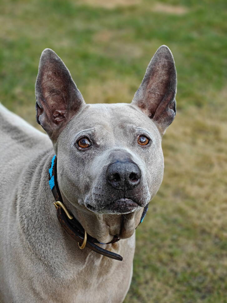 img20260212102809.jpg img20260212102809.jpg